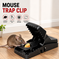 Reusable Mouse Traps