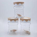 Safari Jar Set 3 Pcs (625ml) – Airtight Kitchen Storage Containers with Lid