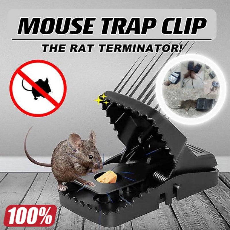 Reusable Mouse Traps
