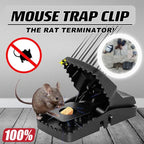 Reusable Mouse Traps