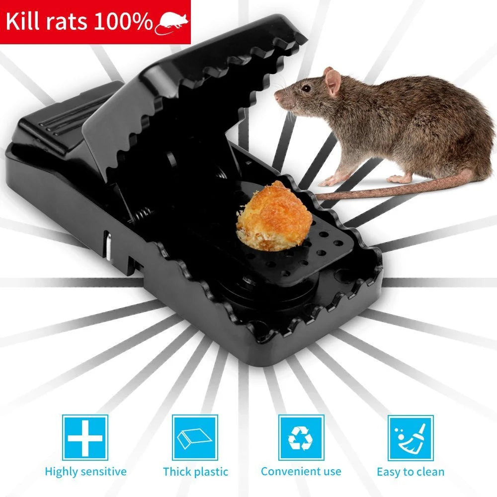 Reusable Mouse Traps