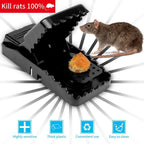 Reusable Mouse Traps