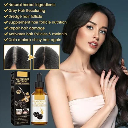 Black Hair Oil – Ganoderma Nutrient Natural Darkening Oil