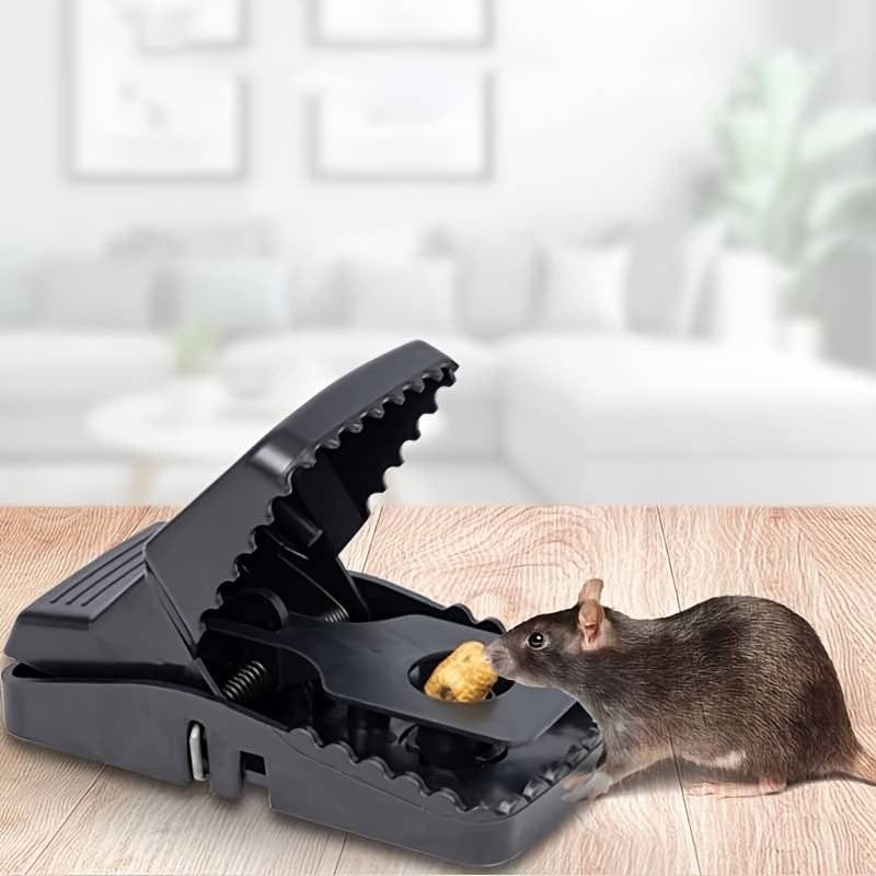 Reusable Mouse Traps