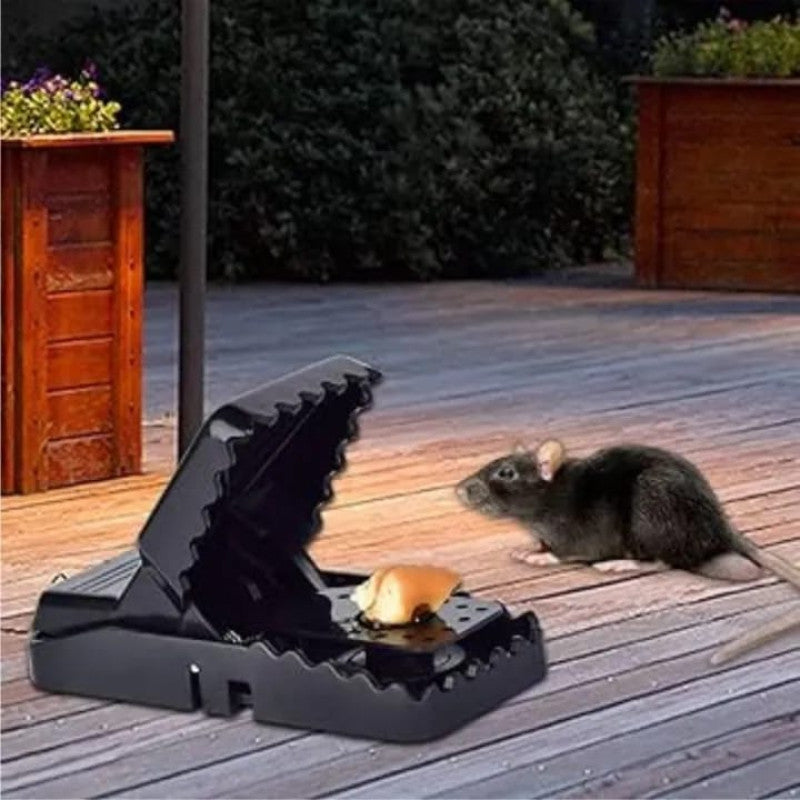 Reusable Mouse Traps