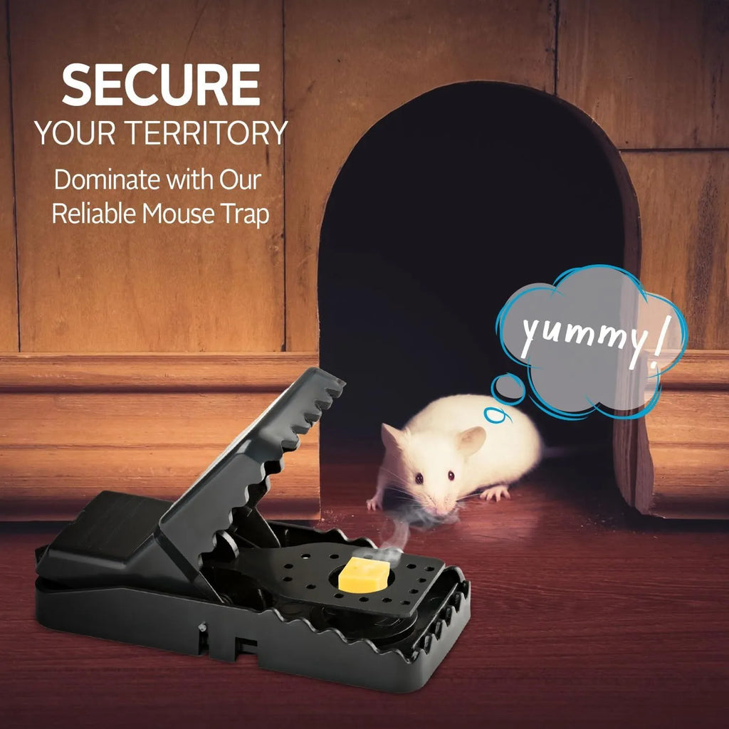 Reusable Mouse Traps