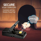 Reusable Mouse Traps