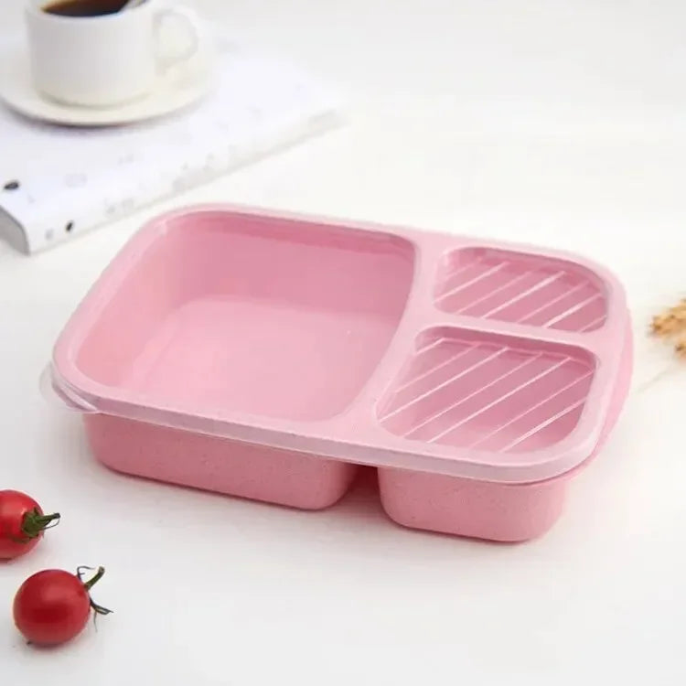 Pack of 2 Student Lunch Box (Small) – Compact 3 Compartment Lunch Box for Kids