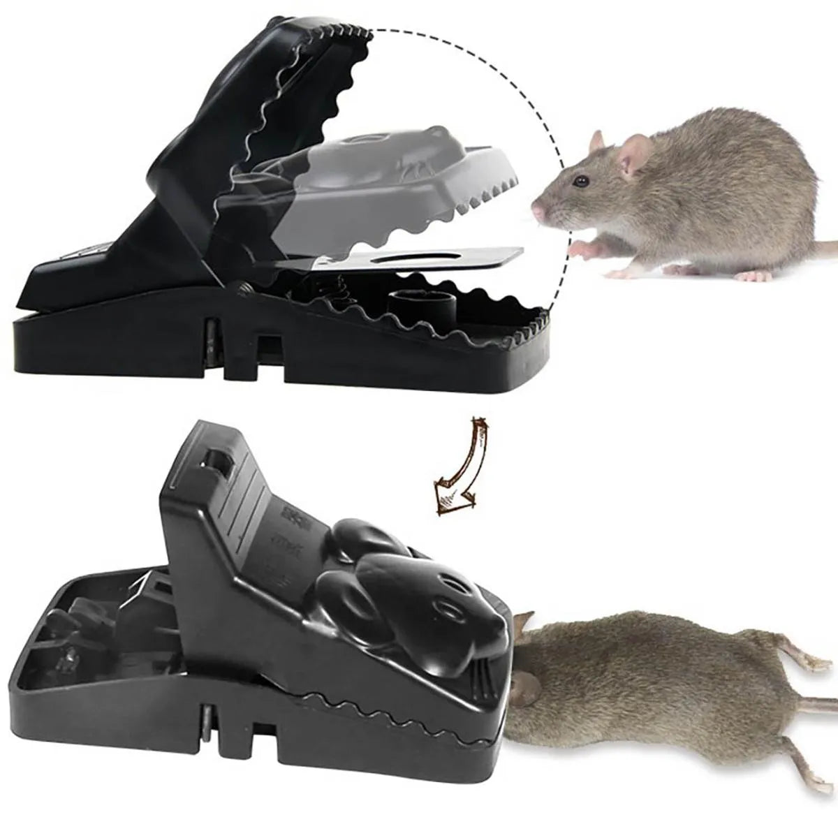 Reusable Mouse Traps