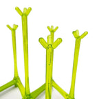 Glass Drying Stand – Plastic Cup Holder Rack | Kitchen Glass Organizer & Drain Stand