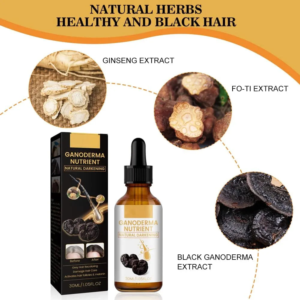 Black Hair Oil – Ganoderma Nutrient Natural Darkening Oil
